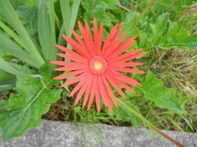 c0361298_20363934.jpg