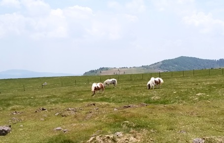 a0236300_14234863.jpg