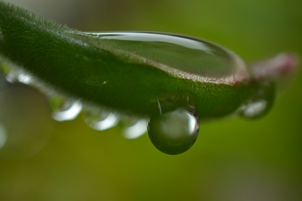a0240403_1017411.jpg