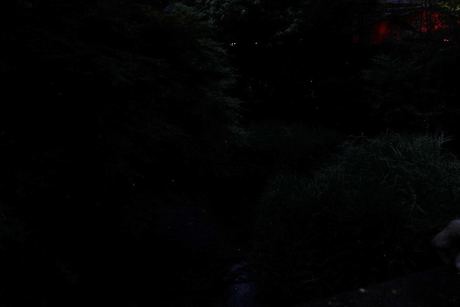 e0372207_09500421.jpg