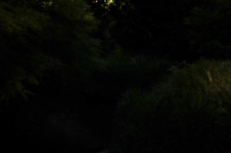 e0372207_09500828.jpg