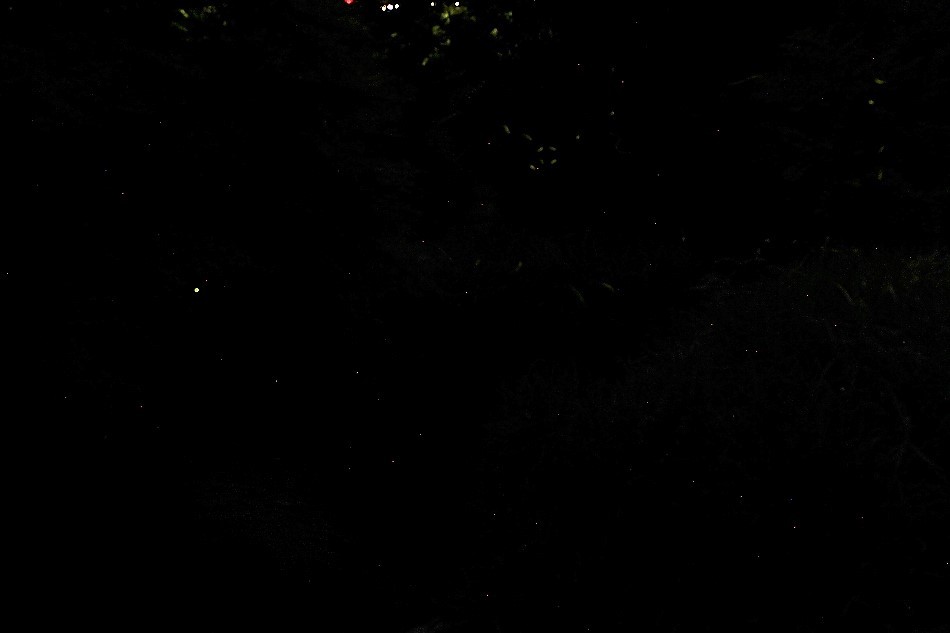 e0372207_09501205.jpg