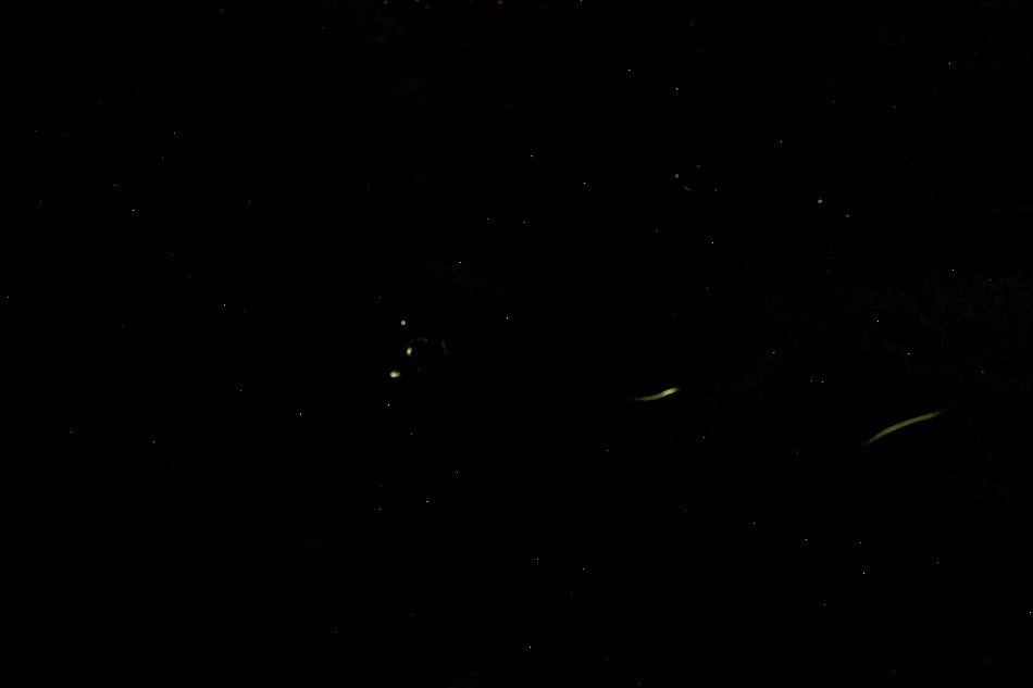 e0372207_09501549.jpg