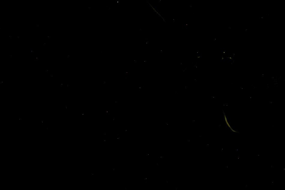 e0372207_09501980.jpg