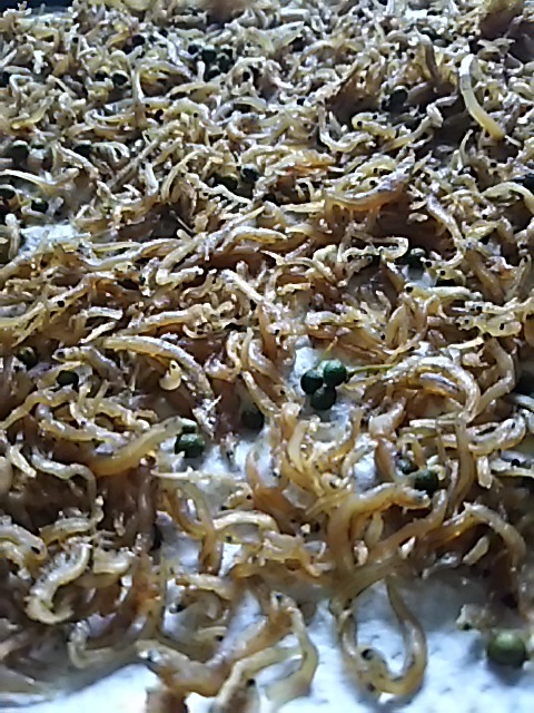 f0316507_13183461.jpg
