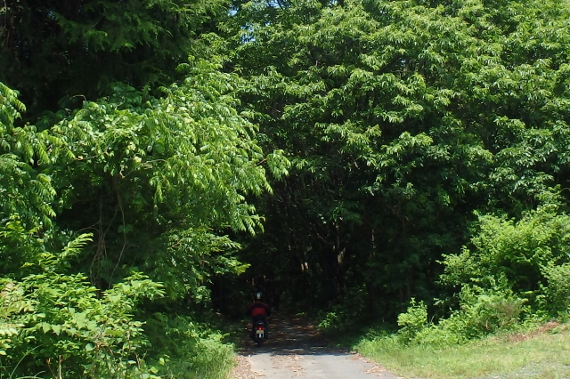f0368610_18281499.jpg