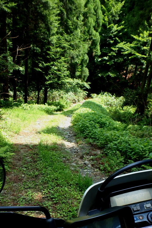 f0368610_18284348.jpg