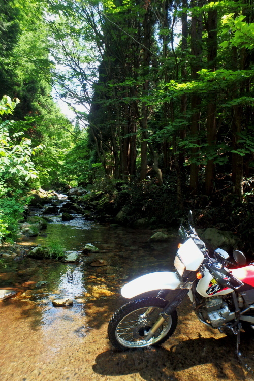 f0368610_18295404.jpg