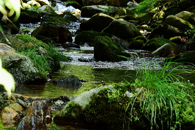 f0368610_18311684.jpg