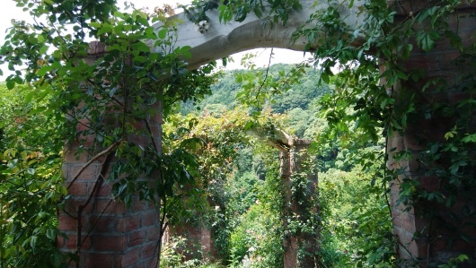 b0035611_08212264.jpg
