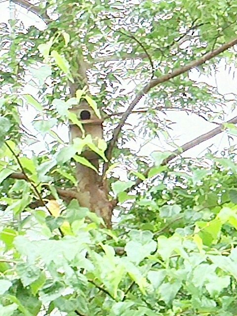 f0150612_16364437.jpg