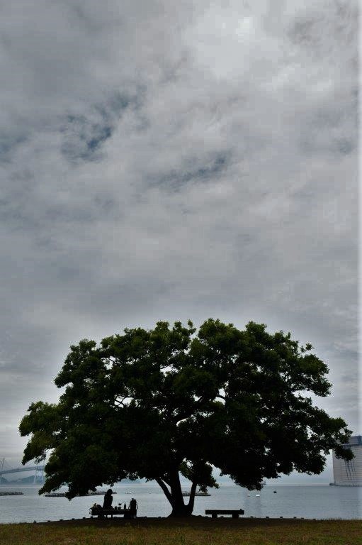 f0365212_22271487.jpg