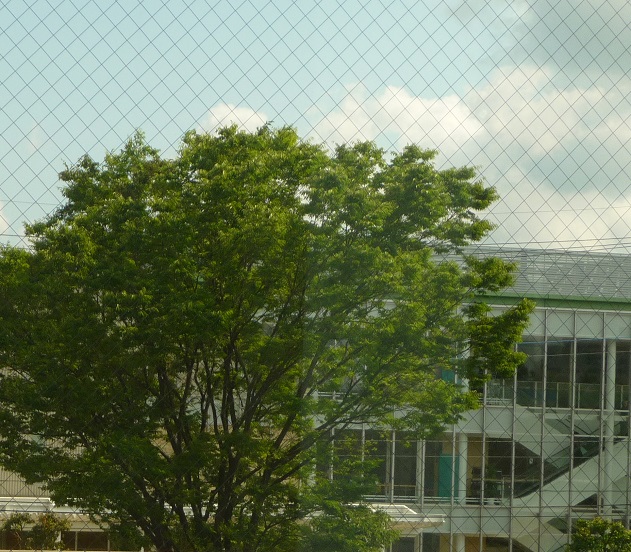 c0202113_1544630.jpg