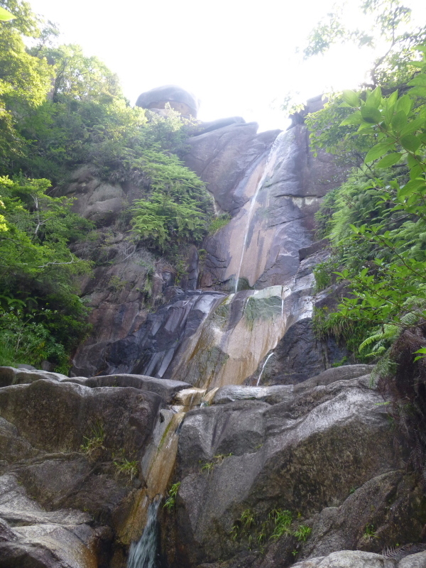 d0170615_10572785.jpg