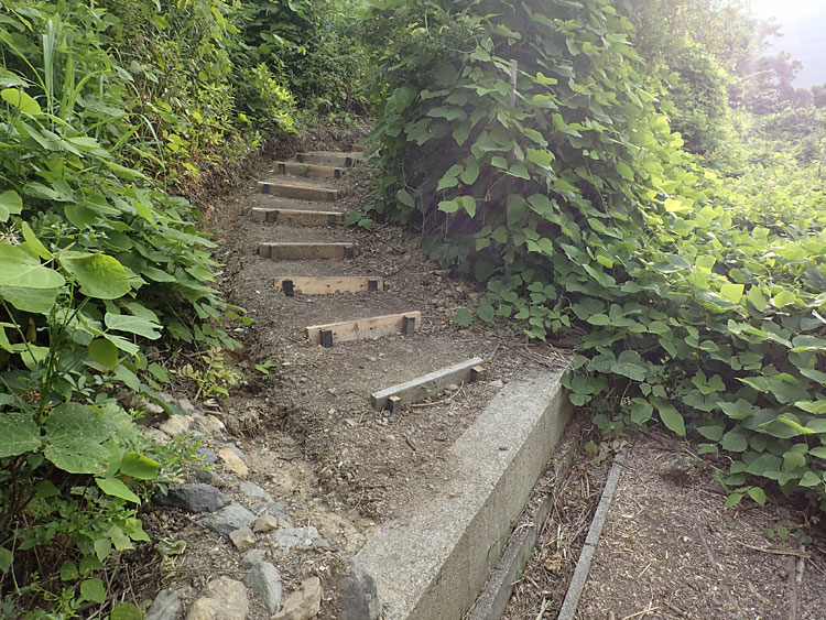 e0156224_1445640.jpg