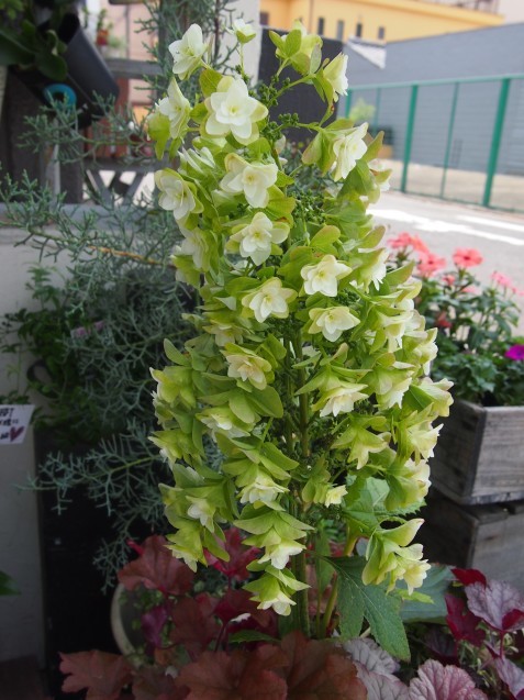 c0103830_17392827.jpg