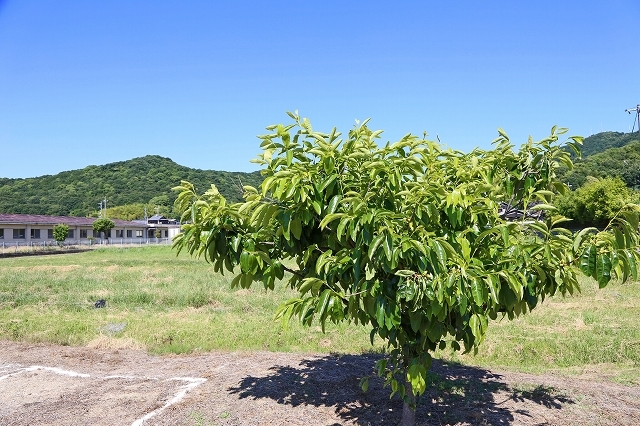 a0242438_18314428.jpg