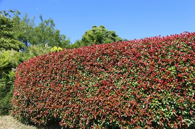 a0242438_18314489.jpg