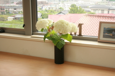 d0049238_20342865.jpg