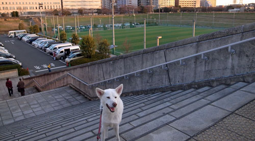 a0117039_19592025.jpg