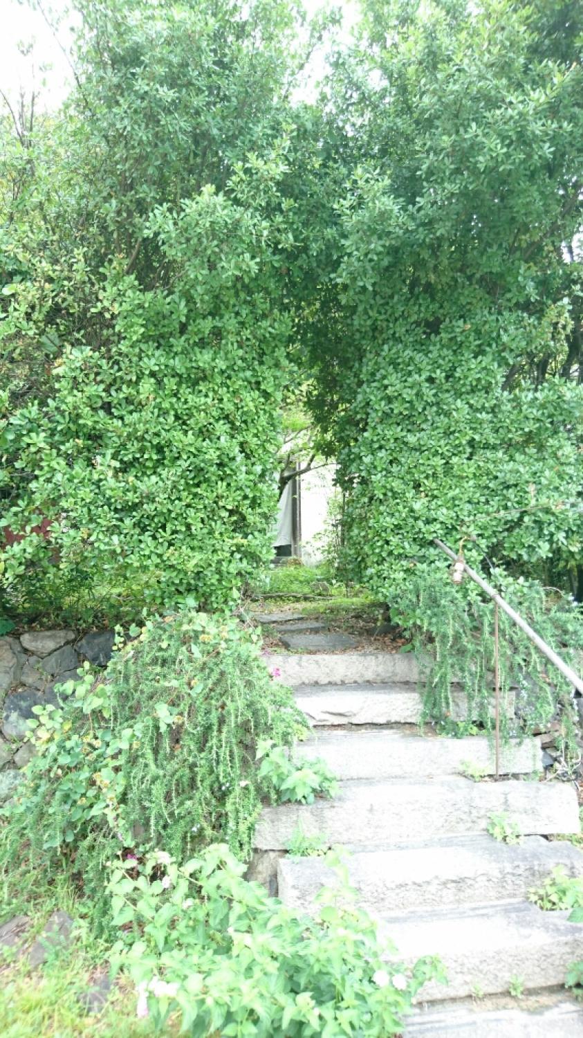 c0199544_22080989.jpg