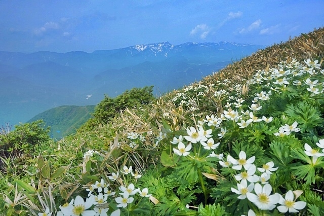 b0122448_13541200.jpg