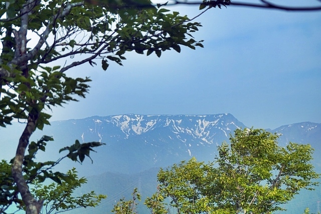 b0122448_14150692.jpg