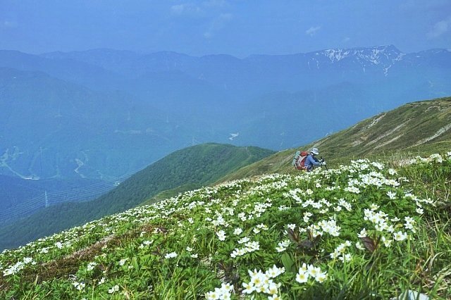 b0122448_14170394.jpg