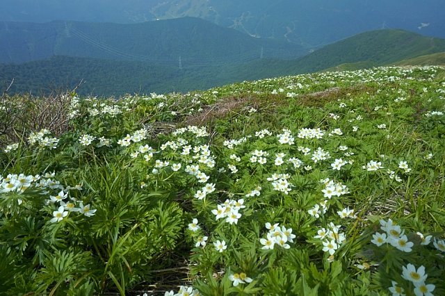 b0122448_14174397.jpg