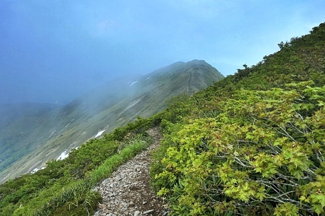 b0122448_14175980.jpg