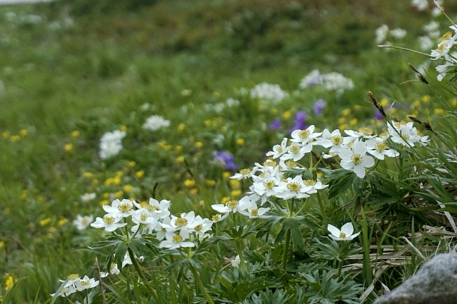 b0122448_14183339.jpg