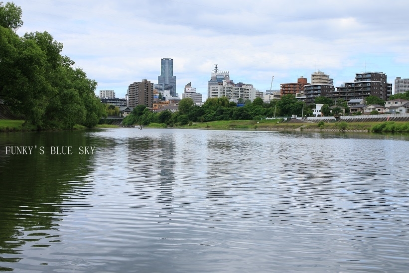 c0145250_10172792.jpg