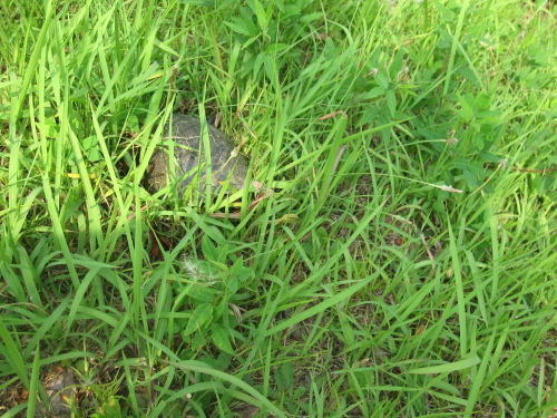 f0245650_07593445.jpg