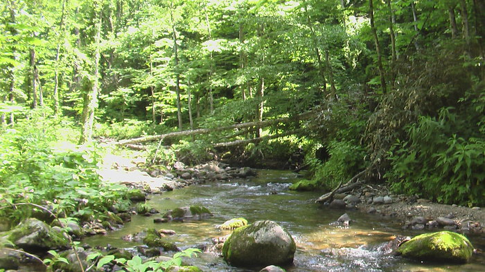 b0208961_12424190.jpg