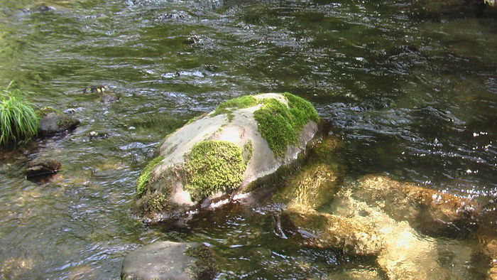b0208961_12425516.jpg