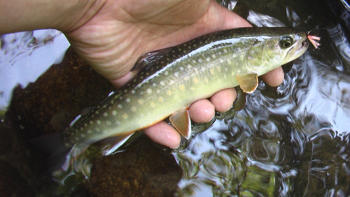 b0208961_12431046.jpg