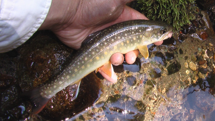 b0208961_1243254.jpg