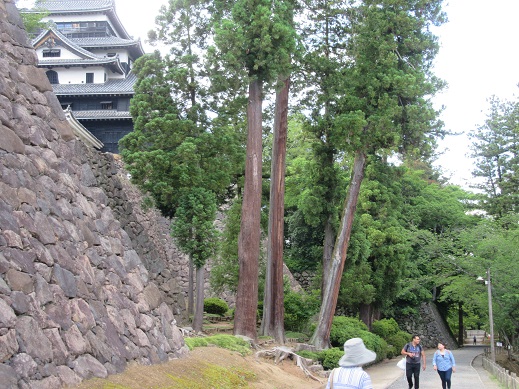 f0113862_21265251.jpg