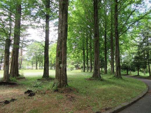 f0113862_21361420.jpg