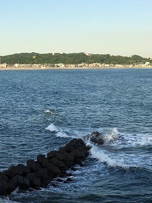 b0145863_13542056.jpg