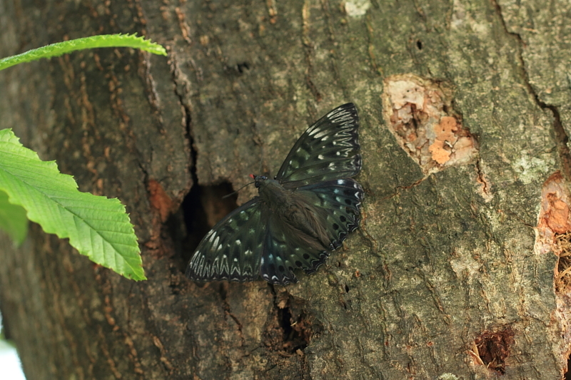 d0367763_00051173.jpg