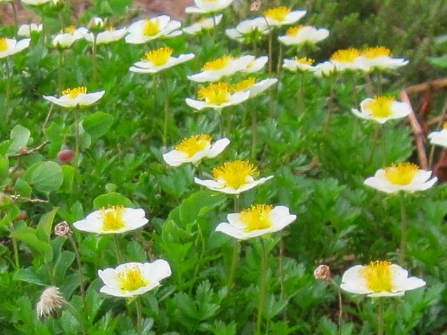 c0219866_07173659.jpg