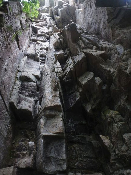 b0050067_23464048.jpg