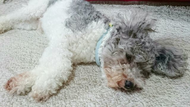 c0231772_10291893.jpg