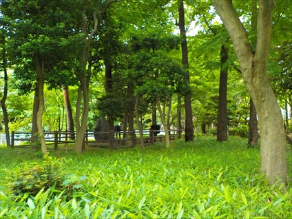 e0126875_17224663.jpg