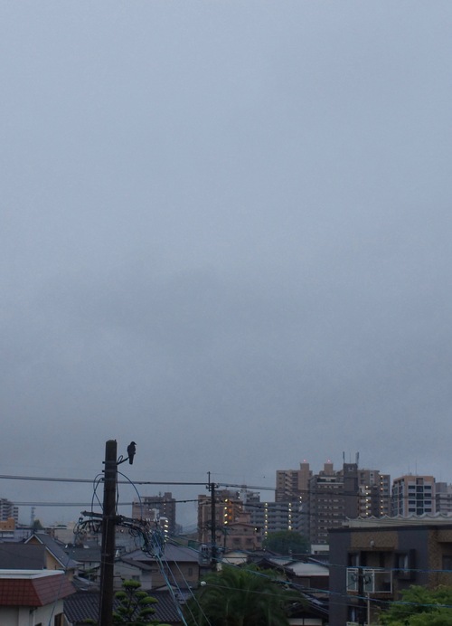 c0169176_7441688.jpg