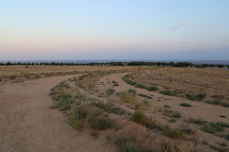 c0326379_08571294.jpg
