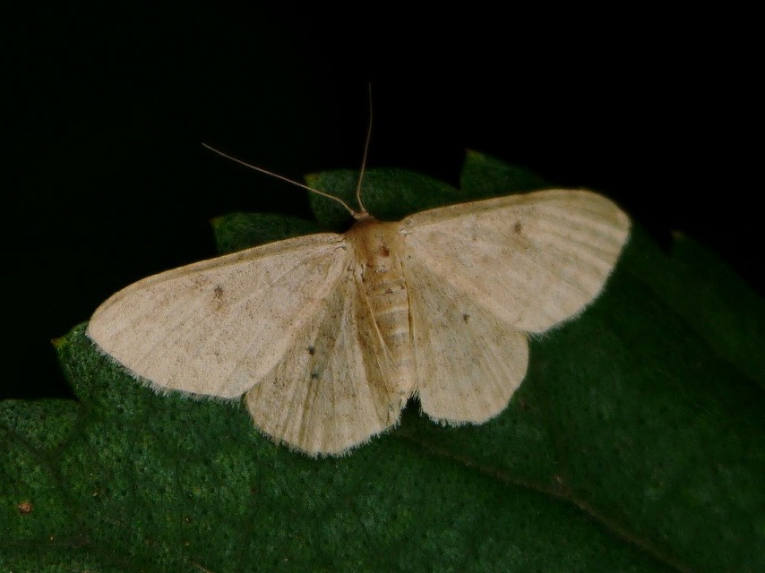d0088184_20563462.jpg