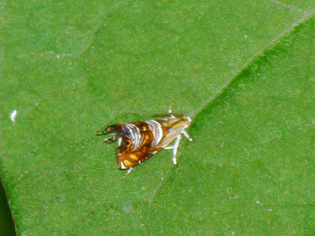 d0088184_21093810.jpg