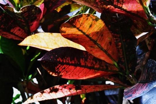 b0329186_05591058.jpg